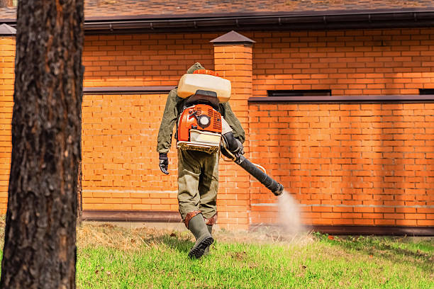 Bed Bug Clearance Verification and Documentation in Val Verde
